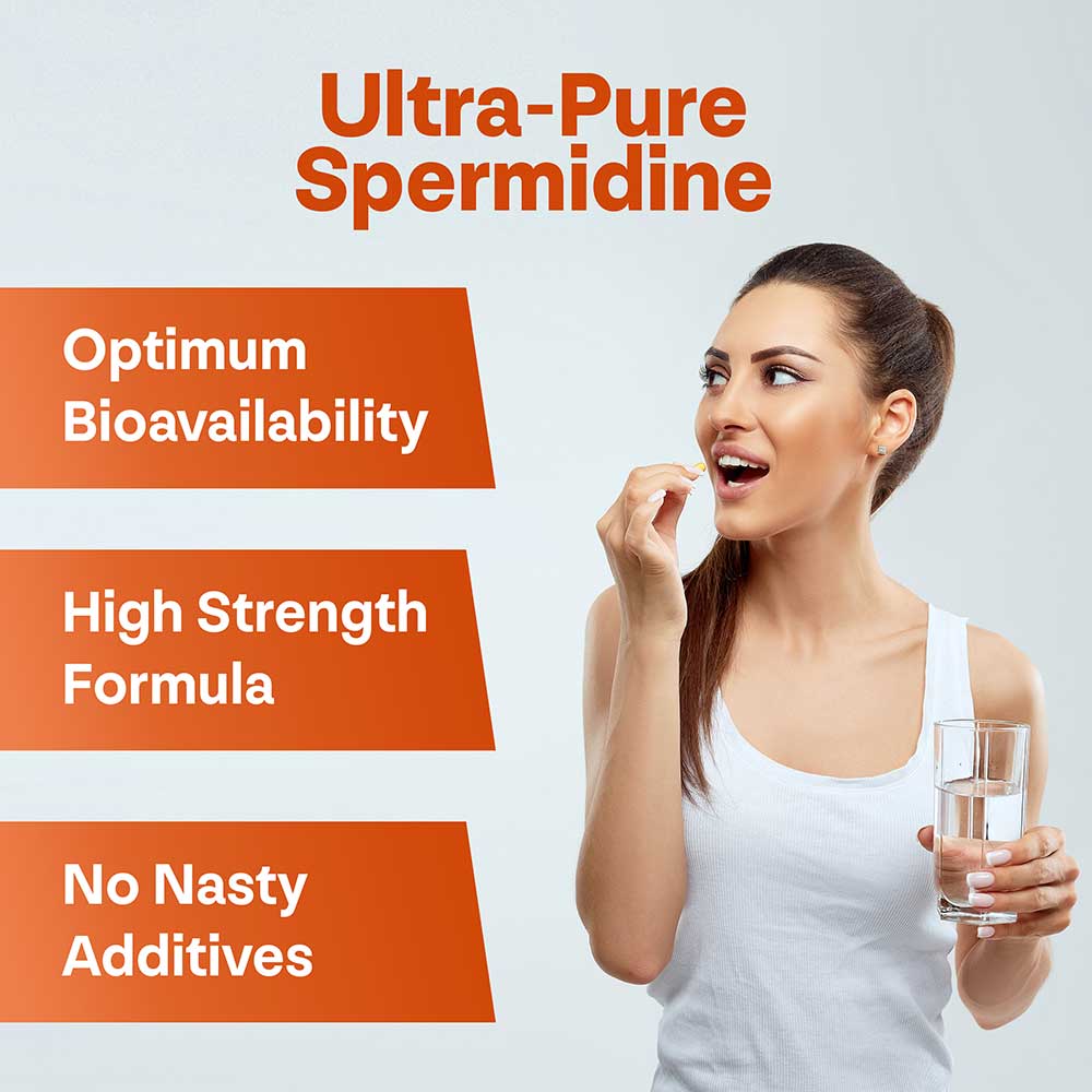 Pure Spermidine Supplement - Longevity Box