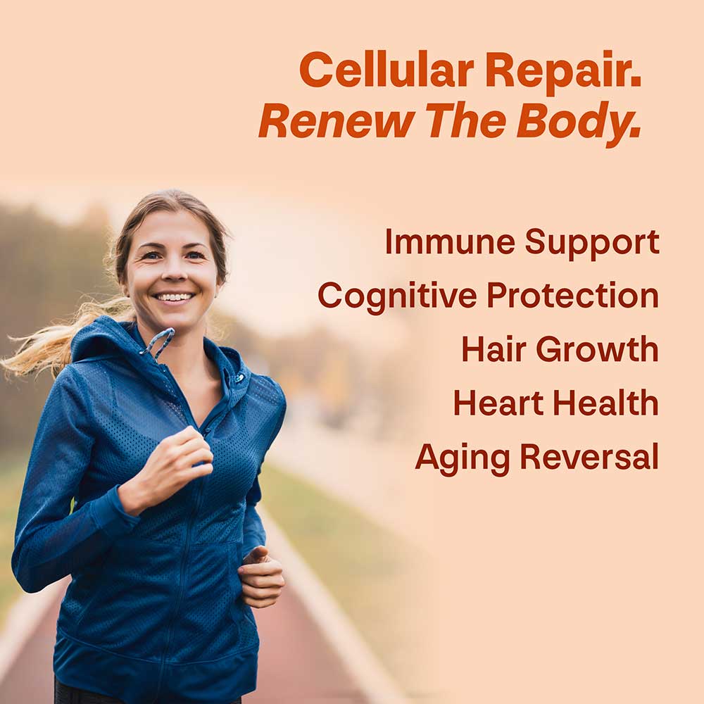 Pure Spermidine Supplement - Longevity Box