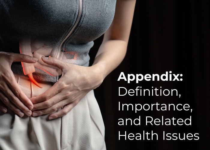Appendix: Definition, Importance, and Related Health Issues - Longevity Box