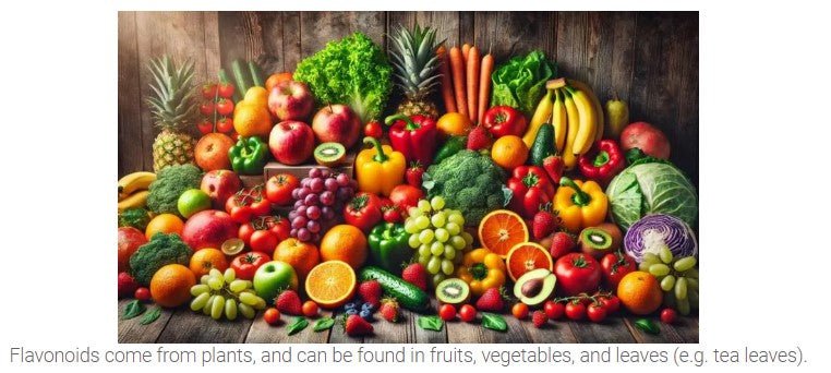 Can Senolytics Improve Mental Health and Boost Longevity? - Longevity Box