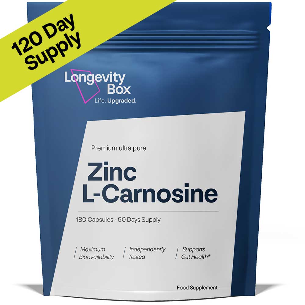 Can Zinc Carnosine Help Heal the Gut? What You Need to Know - Longevity Box