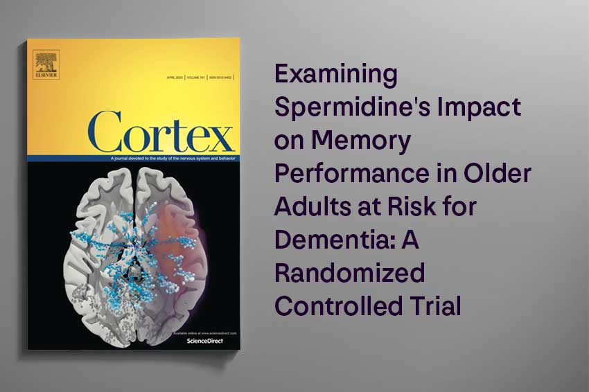 Examining Spermidine's Impact on Memory Performance in Older Adults at Risk for Dementia: A Randomized Controlled Trial - Longevity Box