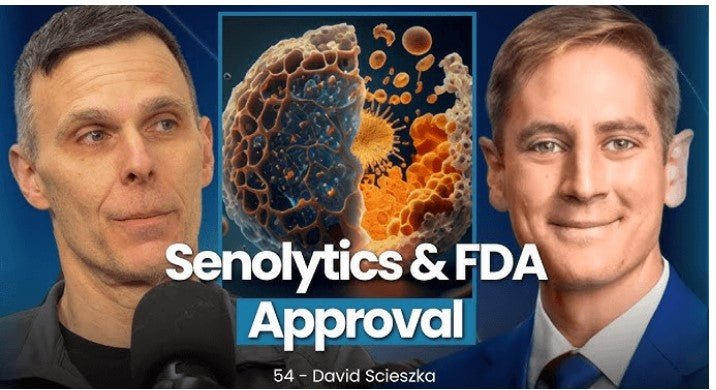 How a New Vaccine Might Help Us Live Longer - Longevity Box