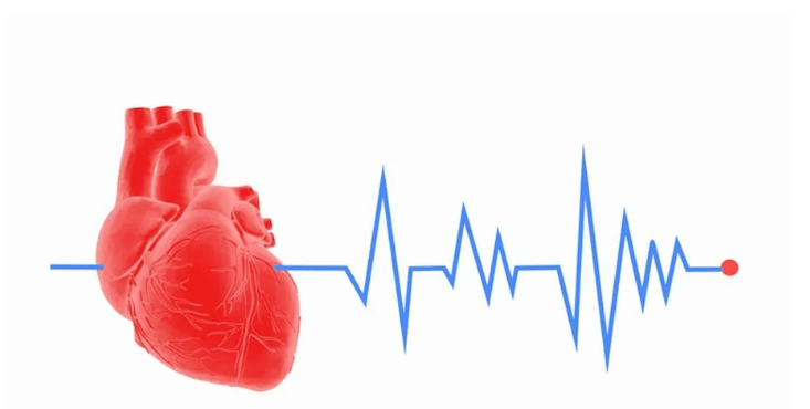 How NMN and CoQ10 Help Prevent Irregular Heartbeats After Heart Attacks - Longevity Box