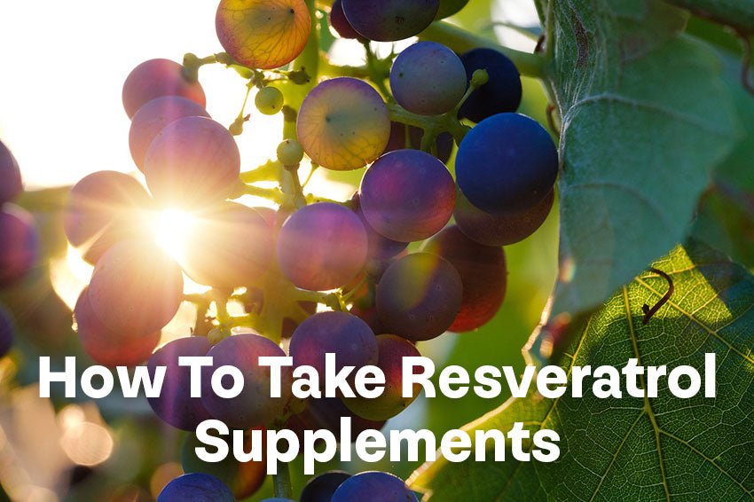 How To Take Resveratrol Supplements Longevity Box