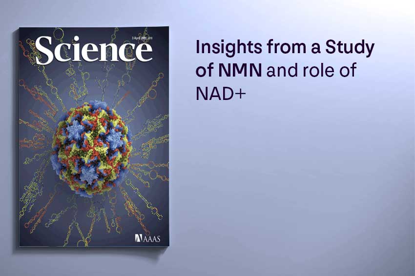Insights from a Study of NMN and role of NAD⁺ - Longevity Box