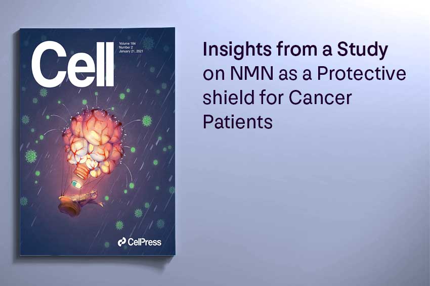 Insights from a Study on NMN as a Protective shield for Cancer Patients - Longevity Box