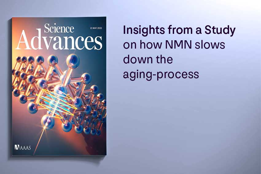 Insights from a Study on NMN how it Slow down the aging-process - Longevity Box