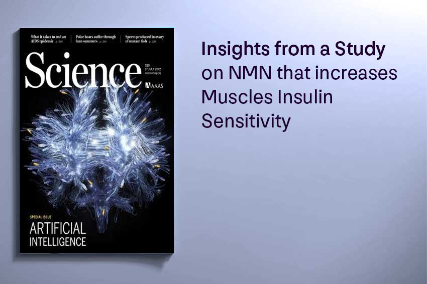 Insights from a Study on NMN that increases Muscles Insulin Sensitivity - Longevity Box