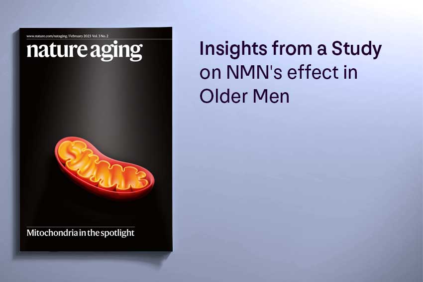 Insights from a Study on NMN's effect in Older Men - Longevity Box