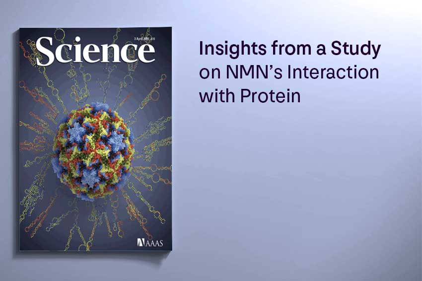 Insights from a Study on NMN's Interaction with Protein - Longevity Box