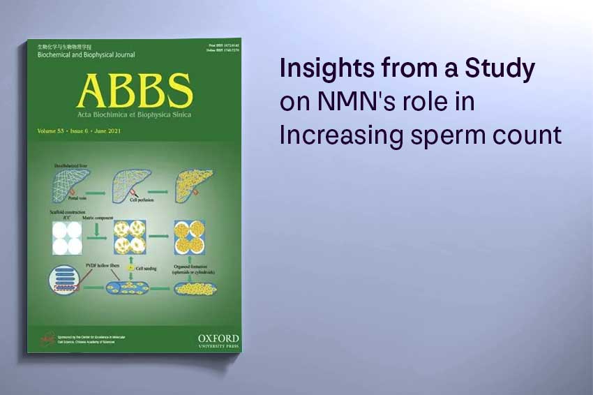 Insights from a Study on NMN's role in Increasing sperm count - Longevity Box