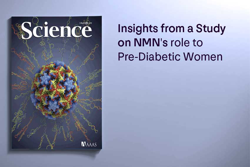 Insights from a Study on NMN's role to Pre-Diabetic Women - Longevity Box