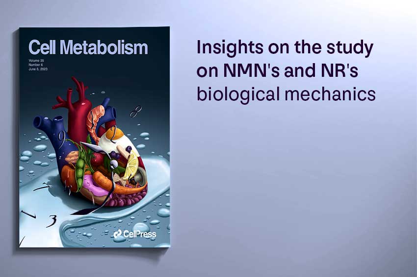 Insights on the study on NMN's and NR's biological mechanics - Longevity Box