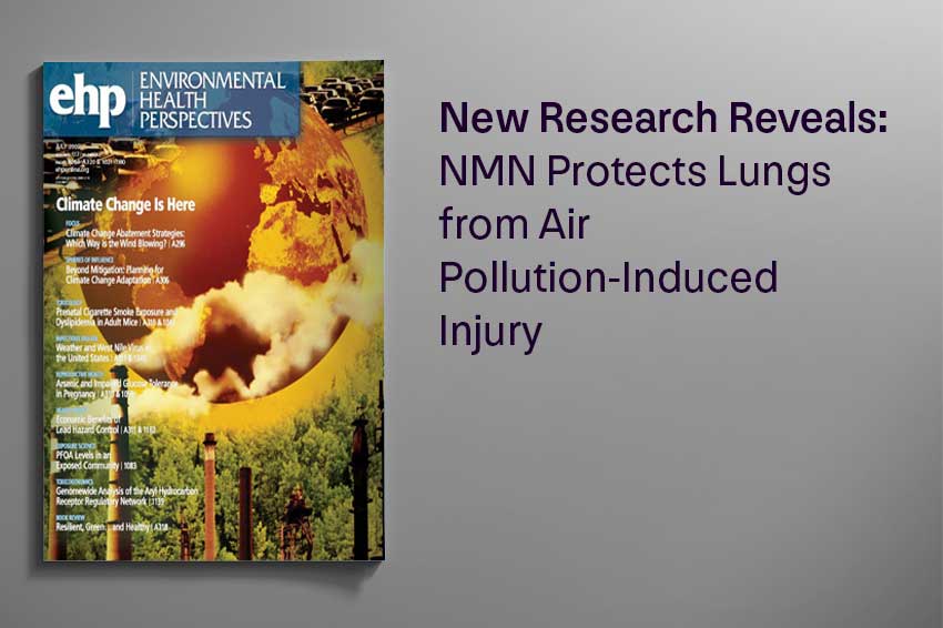 New Research Reveals: NMN Protects Lungs from Air Pollution-Induced Injury - Longevity Box