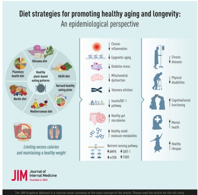 Practical Steps to a Healthier, Longer Life: Key Findings from Longevity Research - Longevity Box