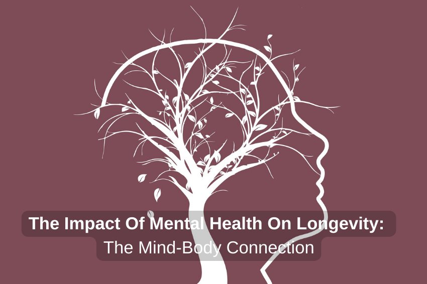 The Mind-Body Connection: Mental Health's Impact On Longevity And Quality - Longevity Box