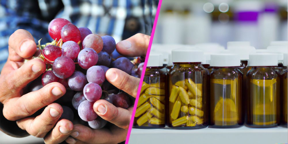 Uncovering the Benefits and Risks of Resveratrol Supplements - Longevity Box
