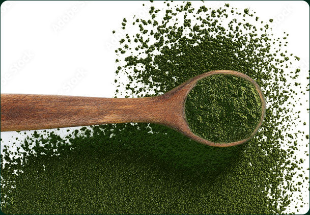 Greens Spoon