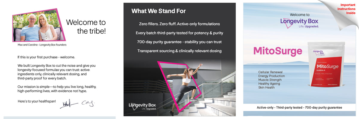 Mitosurge Intro Flyer
