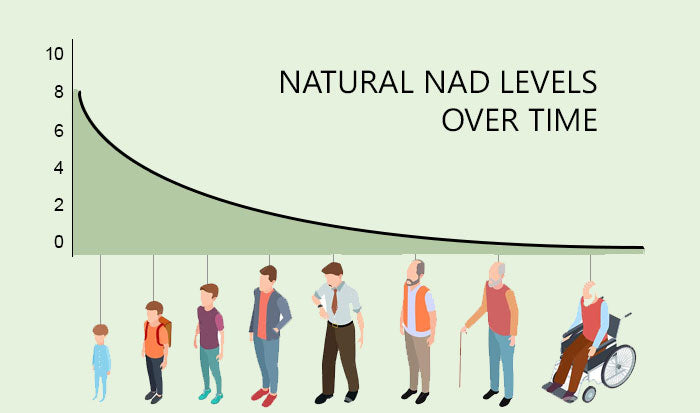 natural nad levels over time graph