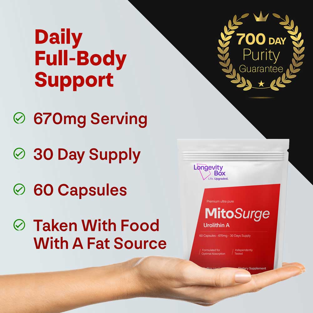 MitoSurge Urolithin A Supplement - Longevity Box