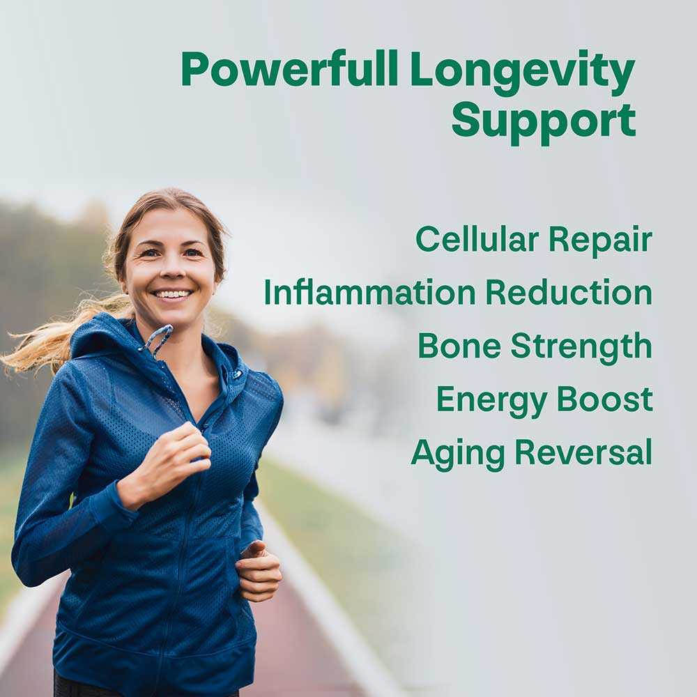 Pure Calcium Alpha - Ketoglutarate - CA - AKG Supplement - Longevity Box