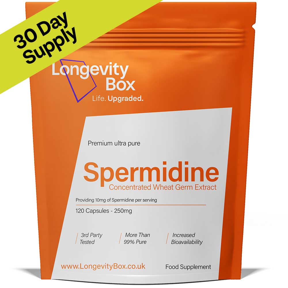Pure Spermidine Supplement - Longevity Box