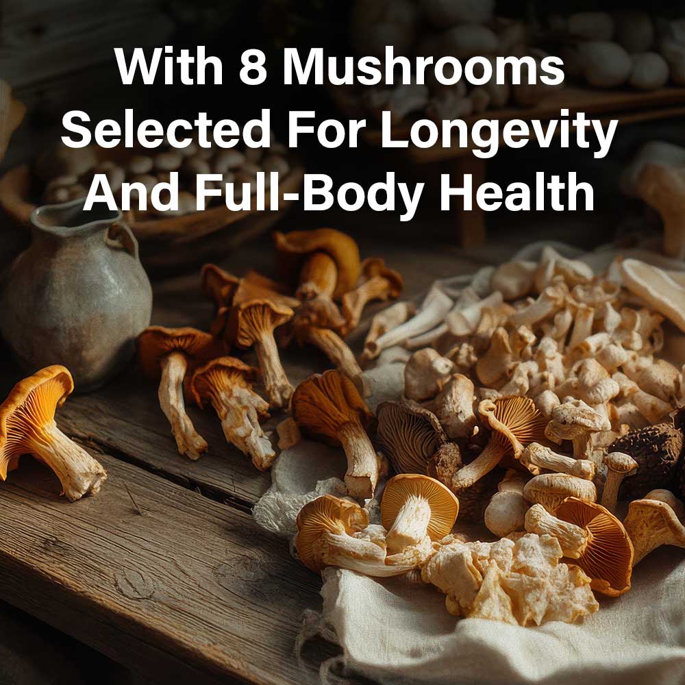 Ultimate 8 Mushroom Complex - Longevity Box