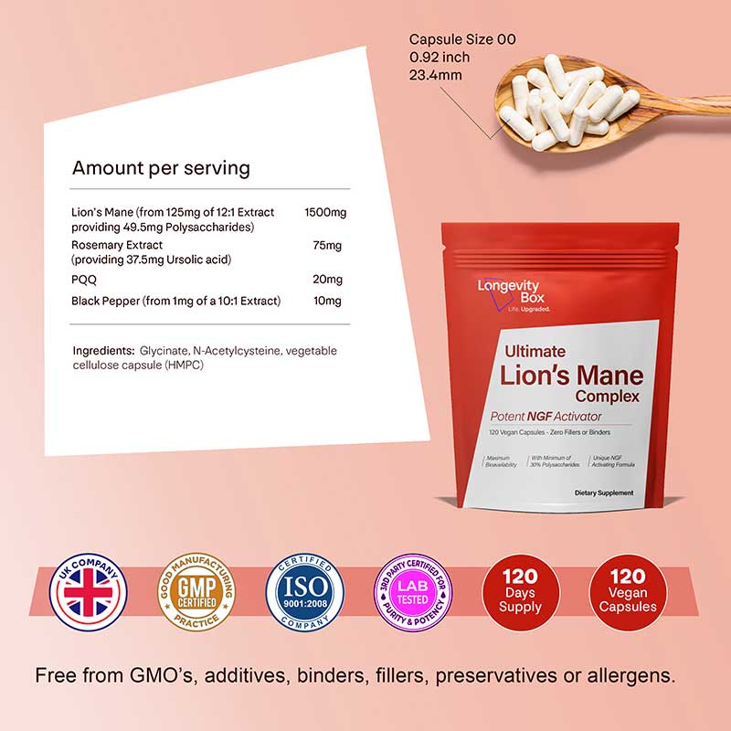 Full Spectrum Lion's Mane Complex Nerve Growth Factor Enhancer Longevity Box
